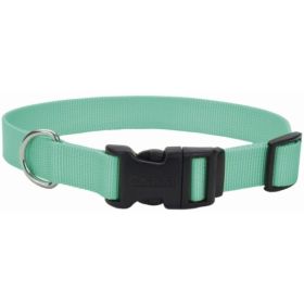 Coastal Pet Teal Nylon Tuff Dog Collar with Plastic Buckle